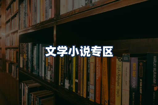 文学小说PDF展示